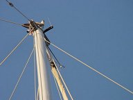 Osprey on top of mast