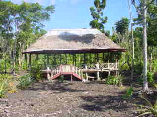 Elaborate fale