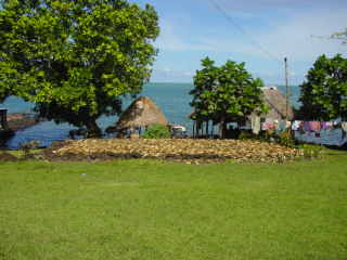 Leave drying outside fale